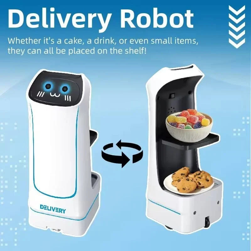 Remote Control Delivery Robot Toys